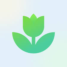 Good morning - Image 1